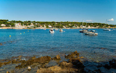 Sailboats in sea against clear sky