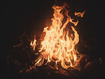 Close-up of bonfire at night