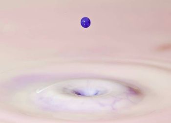 Close-up of bubbles