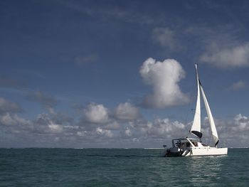 Sailboat sailing on sea against sky