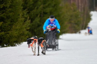 Rear view of people with dog on snow