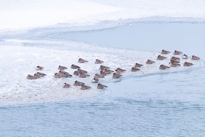 Scenic view of sea shore during winter