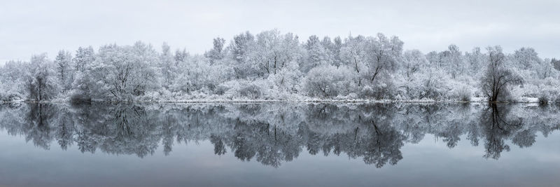 Reflection of trees in lake against sky