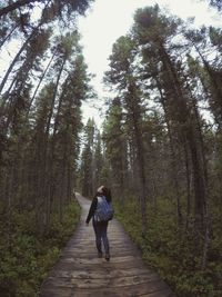 Rear view of woman walking on footpath in forest