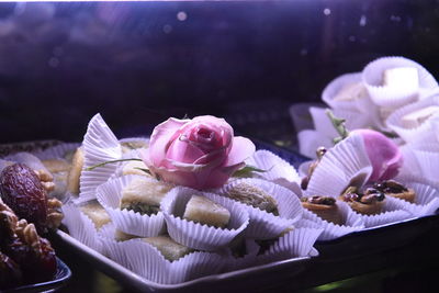 Close-up of pink roses