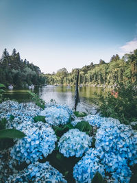 Scenic view of river against clear blue sky