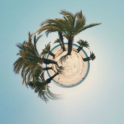 Low angle view of palm trees against blue sky