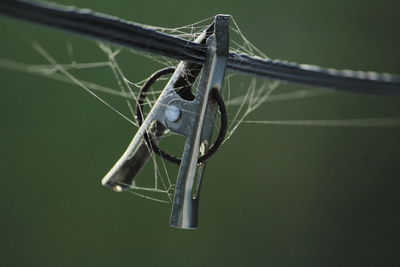 Group of rusted old stainless steel cloth clips with spiderweb hang on the rope without clothes