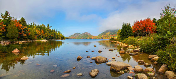 View of the  water, stones and fall foliage of jordan pond in acadia national park 
