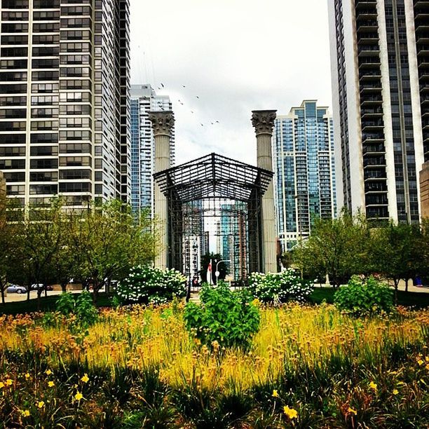 building exterior, architecture, built structure, city, growth, tree, building, modern, plant, skyscraper, flower, office building, sky, residential building, day, residential structure, outdoors, grass, city life, tower