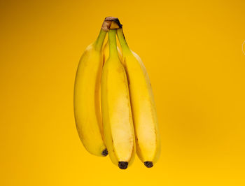 Close-up of yellow object over white background