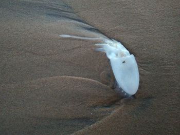 High angle view of sand on beach