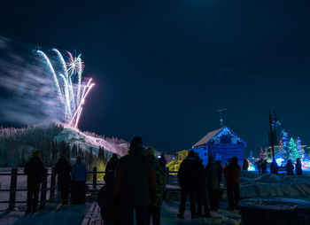 Rear view of people in city at night