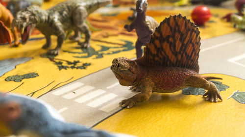 Close-up of a animal representation