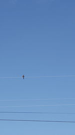 Low angle view of bird perching on cable against clear blue sky