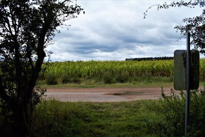 Scenic view of agricultural field against sky