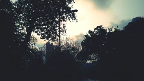 Low angle view of trees against sky