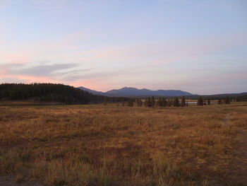 Scenic view of field against sky during sunset