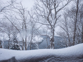 Bare trees on snow covered land