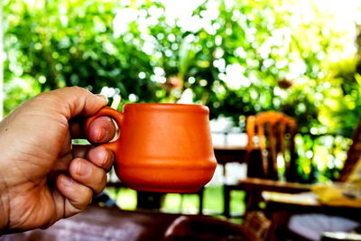 Close-up of hand holding small plant