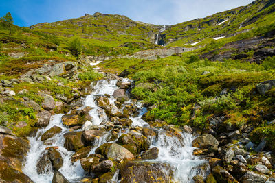 Scenic view of waterfall