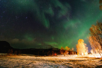 Northern lights over field and snowcapped mountain