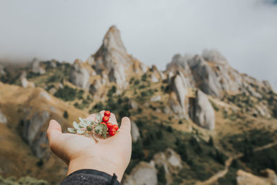 Close-up of hand holding red berries outdoors