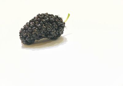 High angle view of ice cream against white background