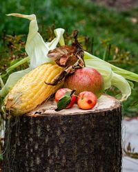 Close-up of corns and fruits on tree stump