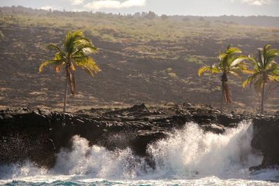 Scenic view of waterfall