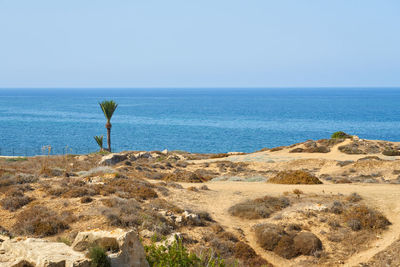 sea