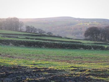 Scenic view of field against sky