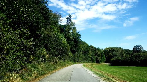 Empty country road along trees