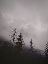 Silhouette tree against sky