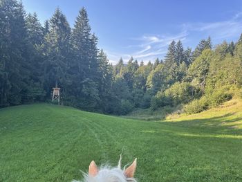 Person on grassy field against sky