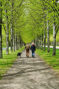 Rear view of people walking on footpath