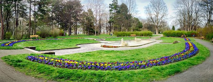 Empty park bench in park