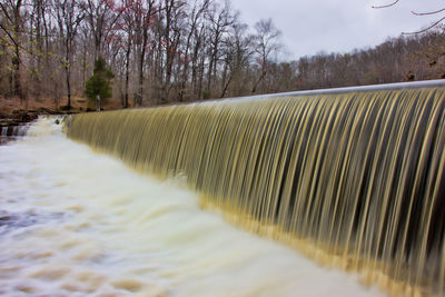 Scenic view of river flowing amidst trees