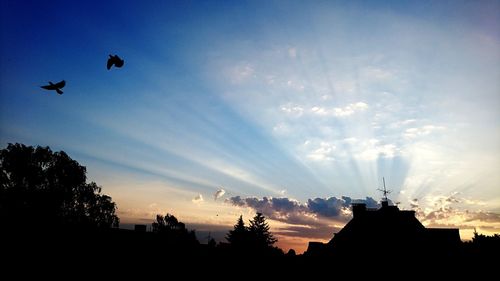 Low angle view of silhouette birds flying against sky