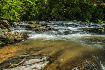 Stream flowing through rocks in forest