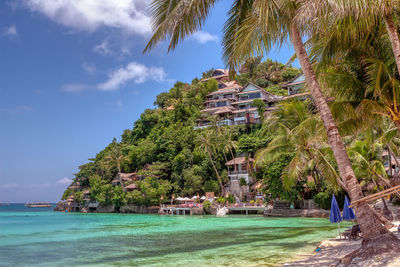 Palm trees on beach