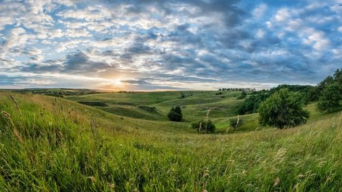 Scenic view of field against sky during sunset