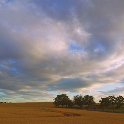 Scenic view of landscape against cloudy sky