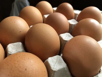 High angle view of eggs in container