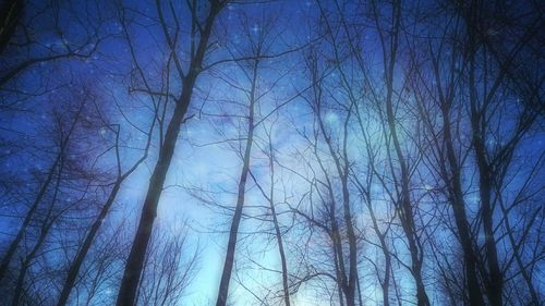 Low angle view of bare trees against blue sky