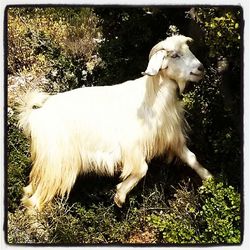 Close-up of white background