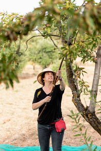 Positive female wearing casual summer outfit and hat knocking almond tree by using long wooden stick during harvest season