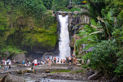 Group of people at waterfall in forest