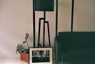 Potted plant on table against wall at home