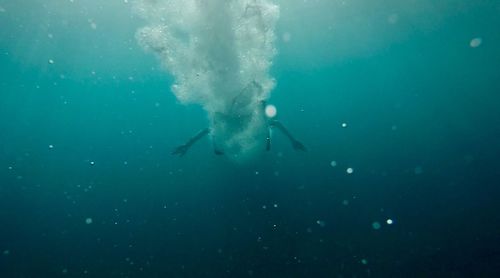 Person swimming in sea